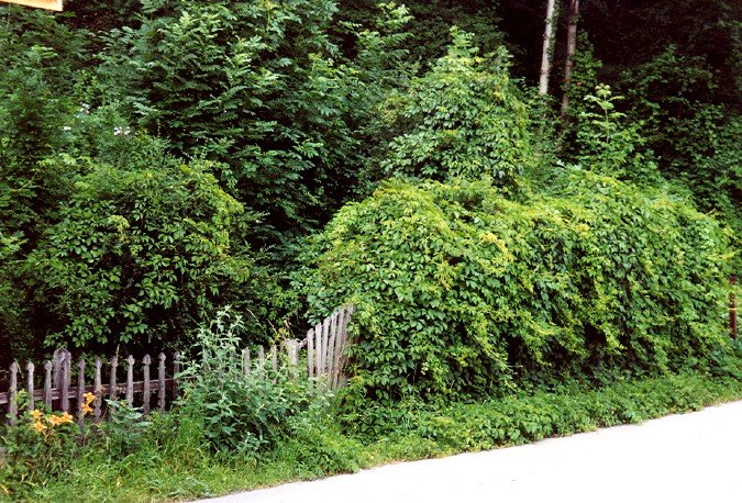 Archive photographique — 0-2001-gnral