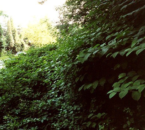 Archive photographique — 00-2001-gnral