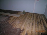 Archive photographique — 2005-05-03-PARQUET-012