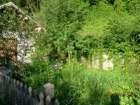 Archive photographique — 2006-08-22-EXTERIEUR-EN-HERBE-1
