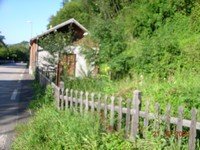 Archive photographique — 2006-08-22-EXTERIEUR-EN-HERBE