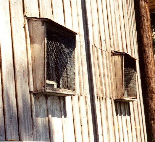 Archive photographique — 4-2001