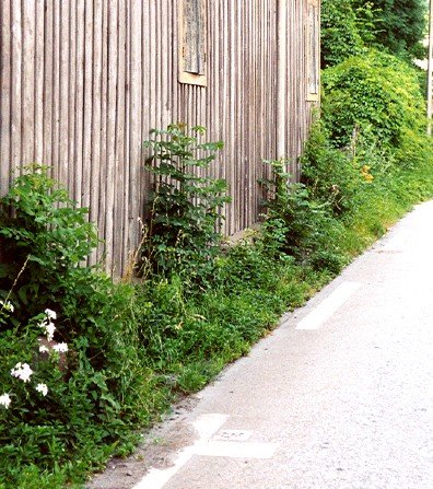 Archive photographique — 9-2001